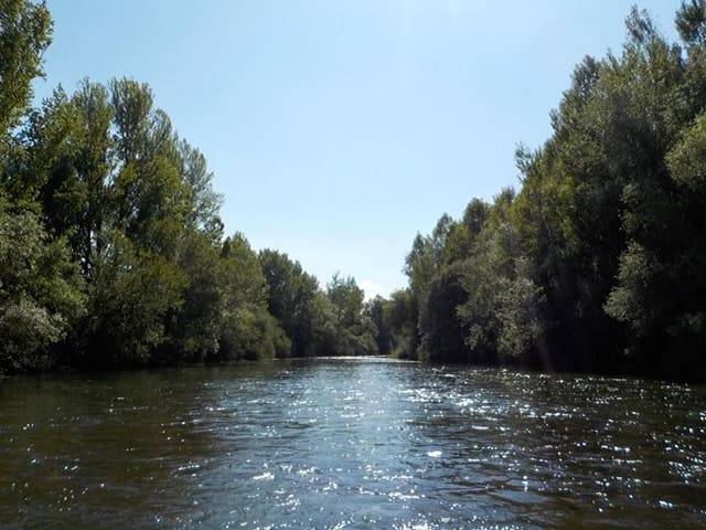 Ríos de Pesca